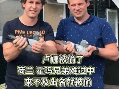 ����ƥ�˹ھ��롰¬�ȡ����� �ۼƶ�ʧ����������