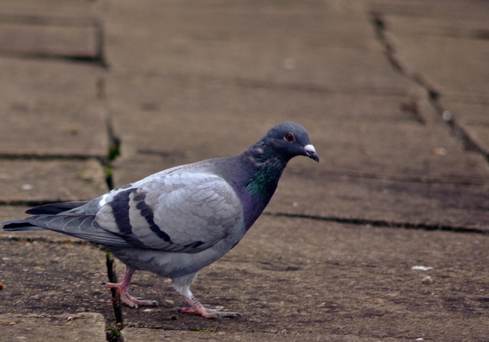 Ϊ��Ӯ�ÿ�ȫ��� ��ֻ�ٹ�벻֪����