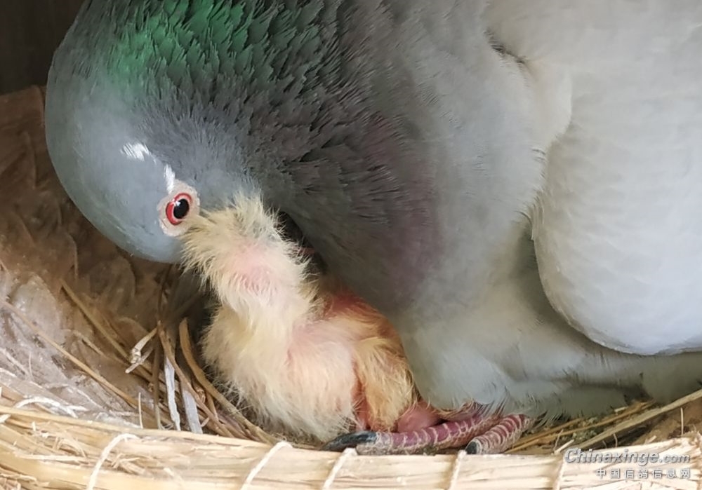 �ҵ����˼·���� �� �� ��