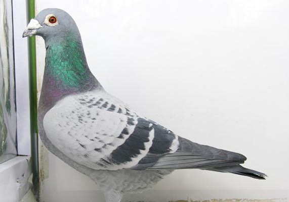 ������ǿ�ĸ�����Ҫ����Щ������