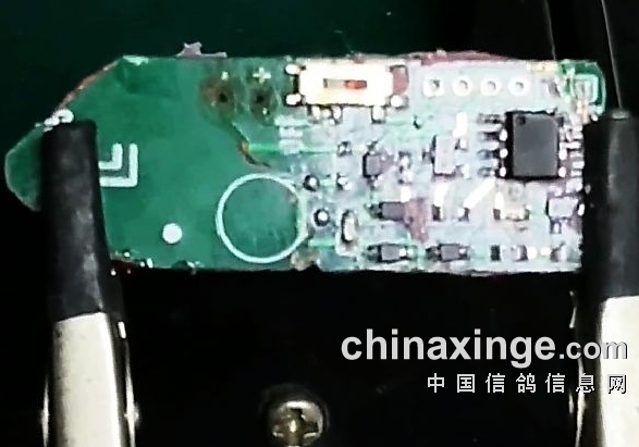 ���踹ֲ��д�������������ֶΣ�ͼ��