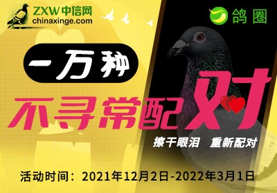 ��ս2022���������������� �������