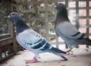 ������Խ���һ�� ��ù��＾����������