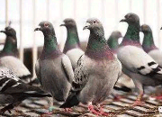 �ҵ������ܽᡪ���˻���������