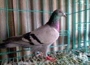 ����������������Щ�������Ŀ�࿴