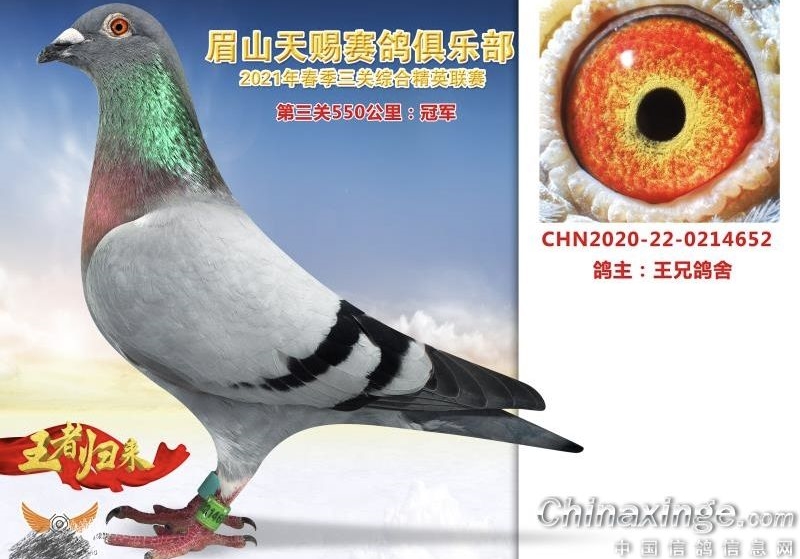 �湫��תս�ط��� С����ɴ��