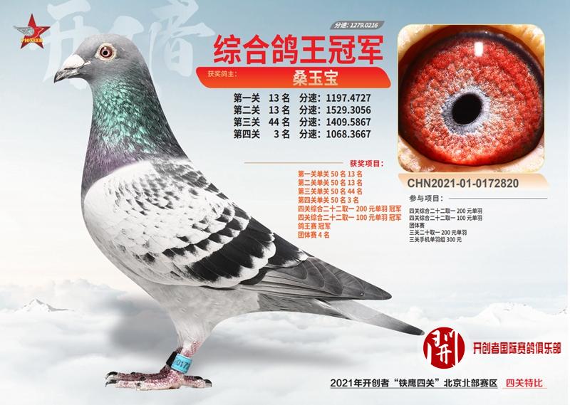 ��������ʵ�� ��������������