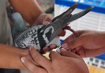 ����ƽ����Ҫ����GPS��������