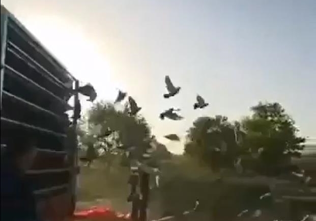 �һ������ ������ͷ�����عھ�����