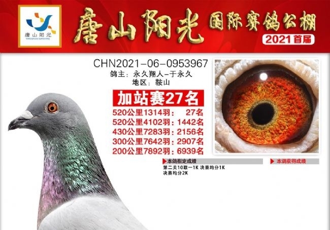 ��ҹ��￴�ص�û���� �����˽�����