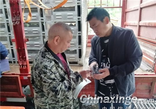 ������н�����μ���