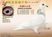 ���� �ഺ ������