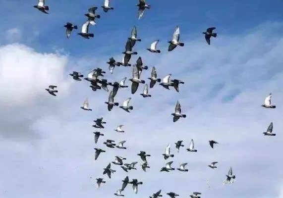 �����Ļ����˻���