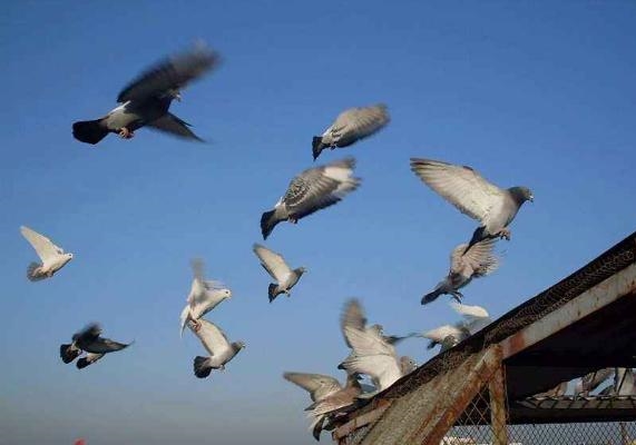 ������ɼ�����  ��ȴ�ѽ���λ