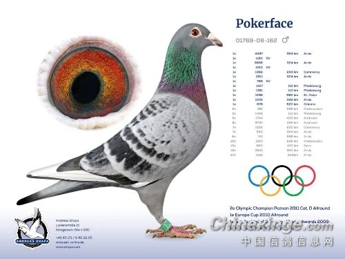 ��������Ʒ������������