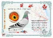 �Ϻ��ζ������ظ����ھ�զ����