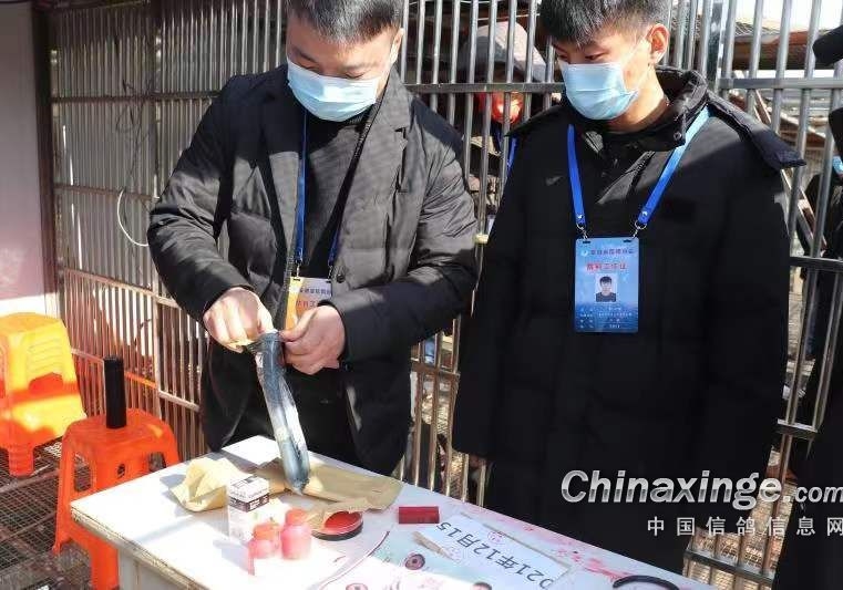 �벻Ҫ������У�����Ҳ�ܲ�����