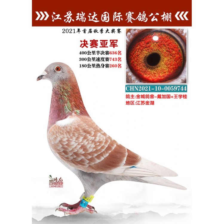 ��ɫ���п������ã���ҫȫ���ġ���Ƥ������������