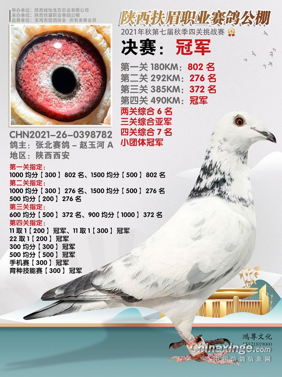 ��ɽ����սɳĮ ����������ھ����溺�ӡ�����