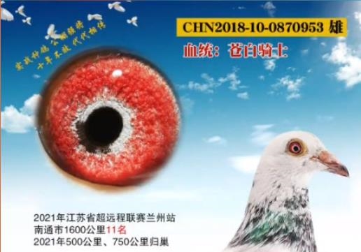 ������ս���˻� �̵�2021��Զ�̹鳲Ӣ��