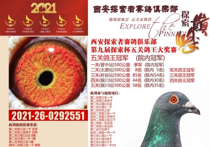 ÿ��һ�룺�����Ĺ����ġ���Ƥ������������