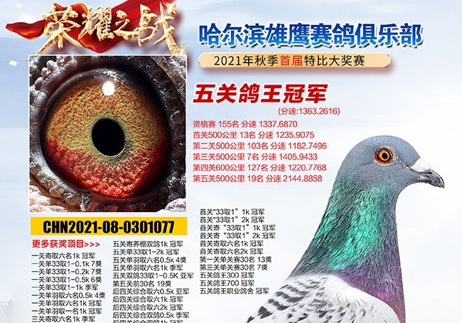 ���ǿ죡��߷���2144 ��ȺС��ᡰ�Ṧ��