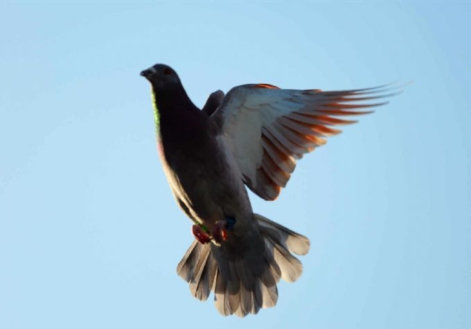 ��������Ӱ��Ƭ�������������������