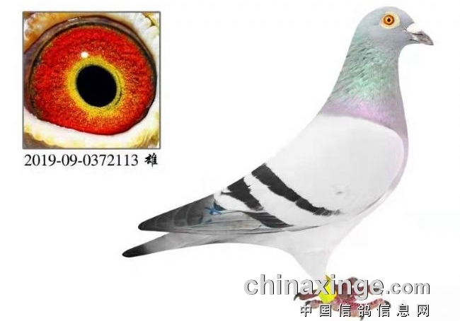 ÿ��һ�룺������������Ϻ�