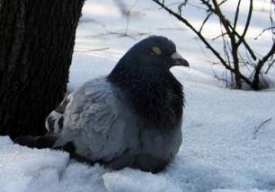 ������������� Ϊ������һ���Ķ���