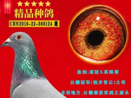 �����ĸ����ë��124�� ����ɼ�������