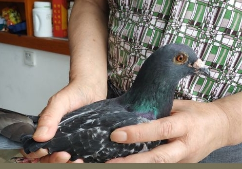 ��Ŀ��20�����ع�� �˷�ǧ������ҲҪ�ؼ�