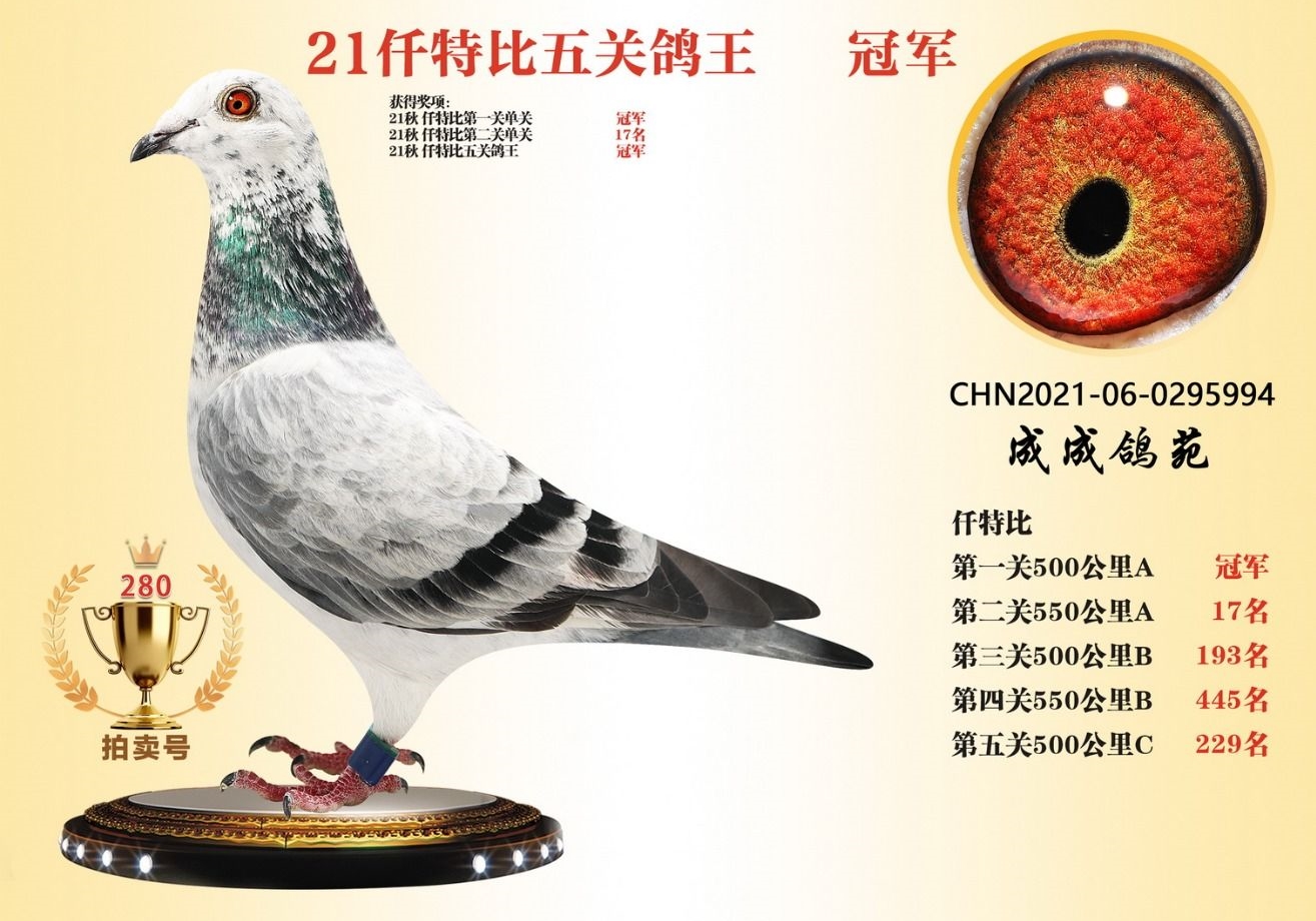 ÿ��һ�룺����С��ȫ������뻨