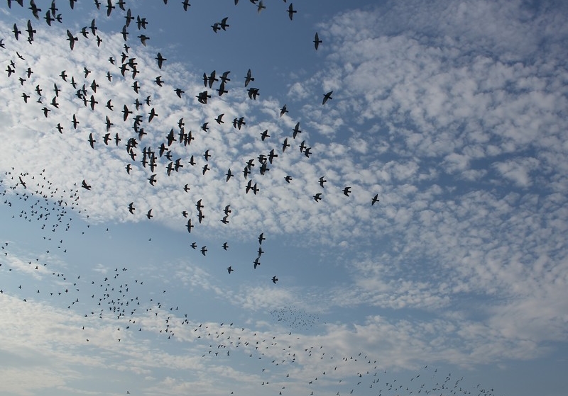 �������ǲ��Ǻ��ָ���ս�����