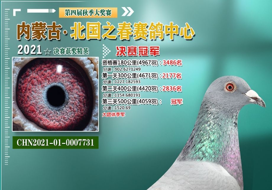 ���ɹ�����ھ��̵� ����һ��������Ķ�