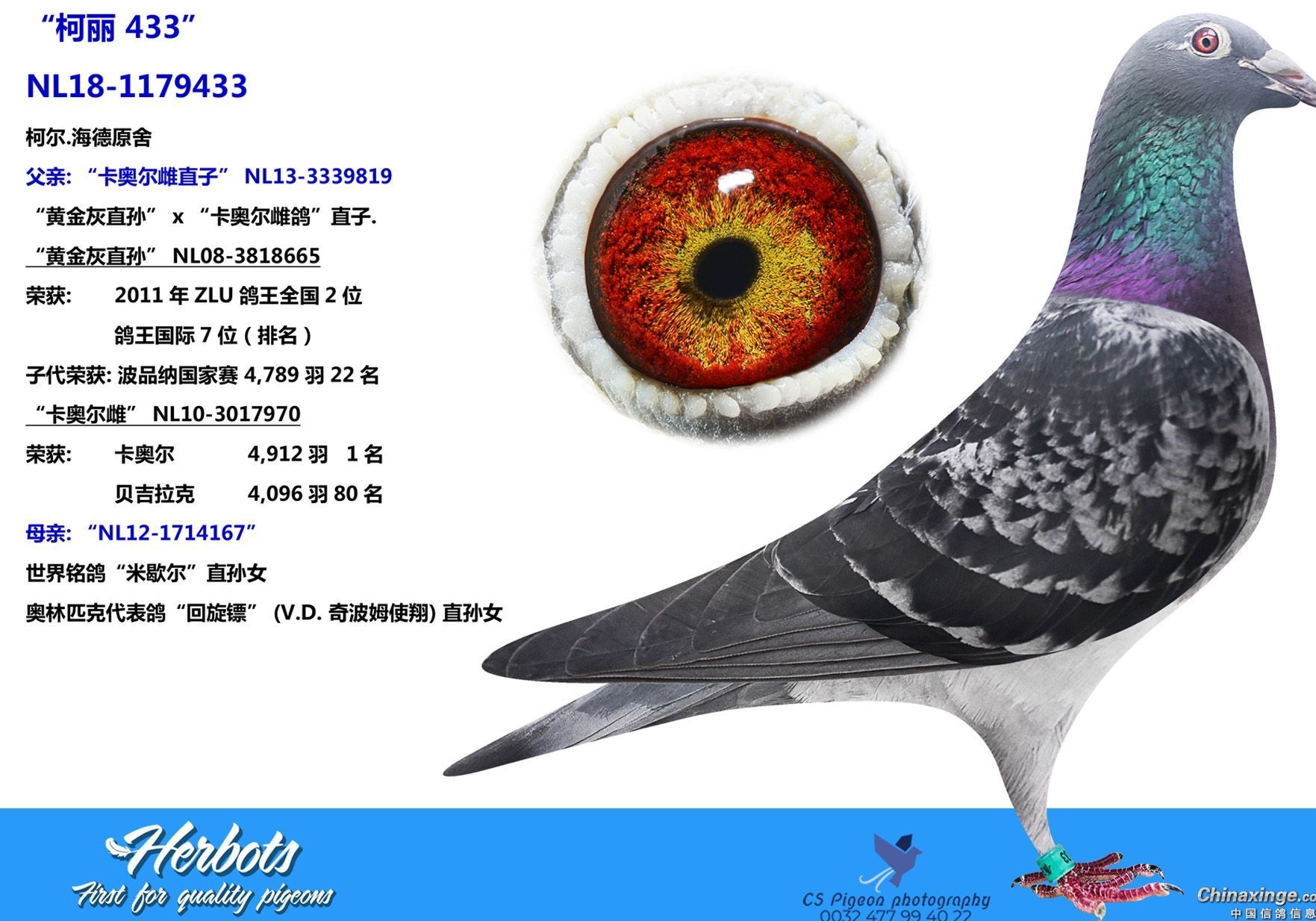 ���� �������콲����