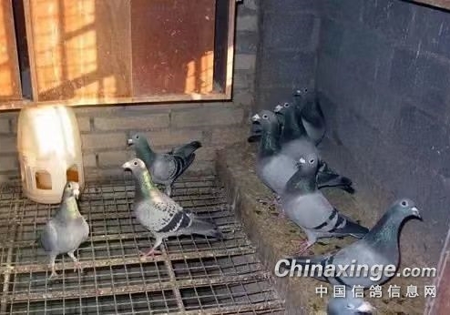 ���˷��� �㻹��������