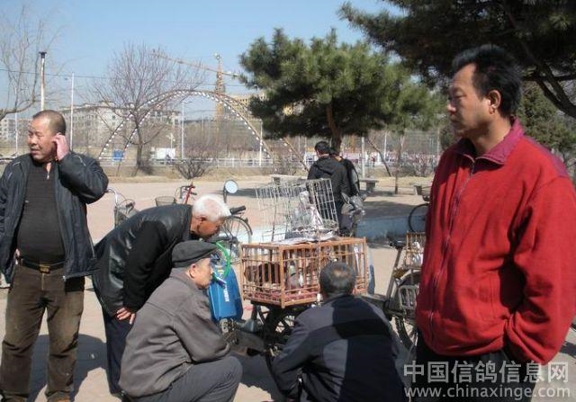 �����û�д�ʦ��