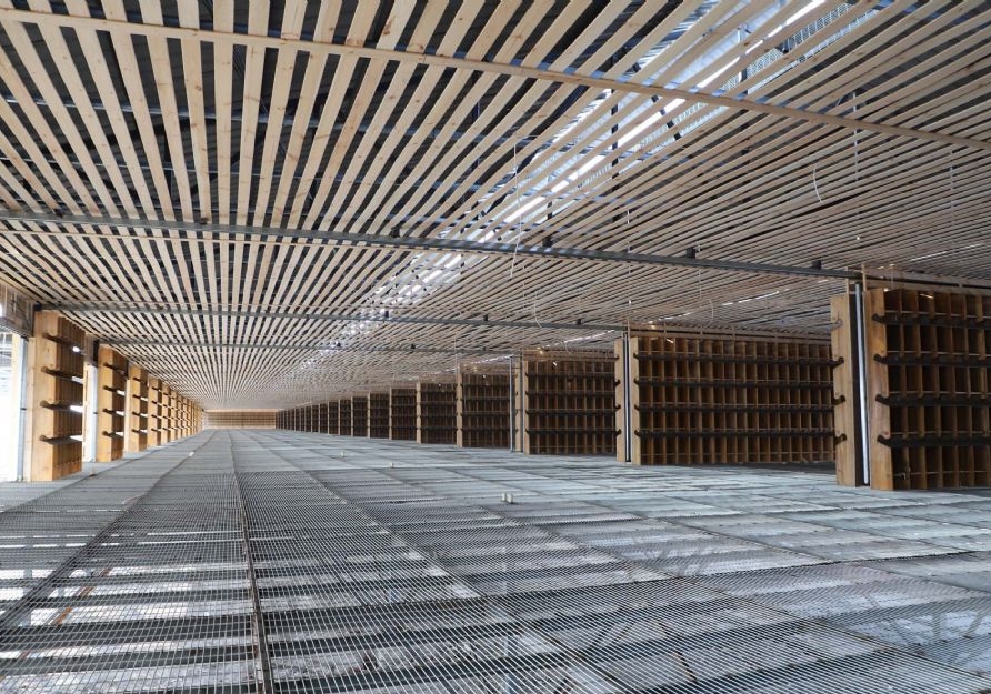 ���꽻����ôѡ������14���żҿ������2021�ɼ���