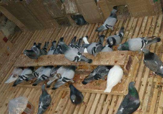 ���ֱ�ͼ���� �˷�ʱ���˷�Ǯ