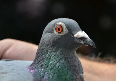 �߼����������� Ϊ���Ӵ������룿