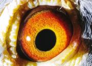 ����С�Ƽ��� �ط����﷢�Ӷ���