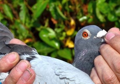 �����ջ󣡽��겻��Ǯ������