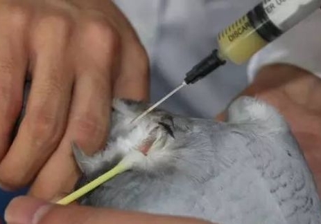 ���ɺ��ӵĻ��ڣ��ָ�Ҳ������磡