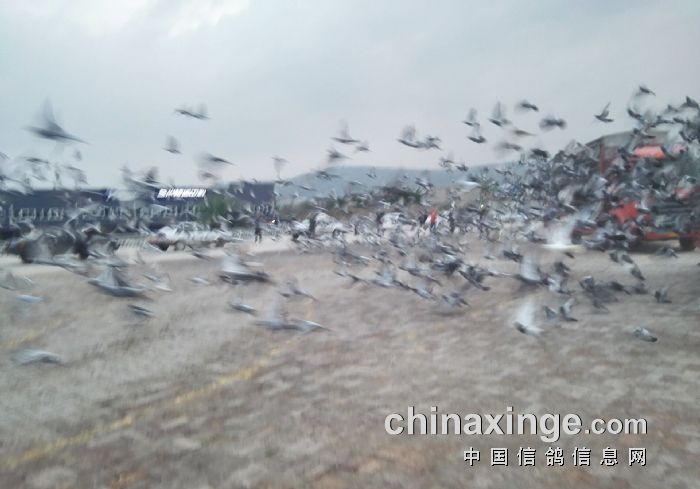 ���ۣ���Զ�̵ĺø��Ӷ������