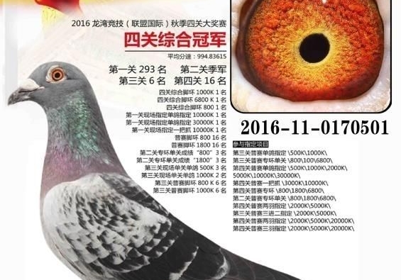 ��·��Ѫ���ӵ����� ������ʤ��