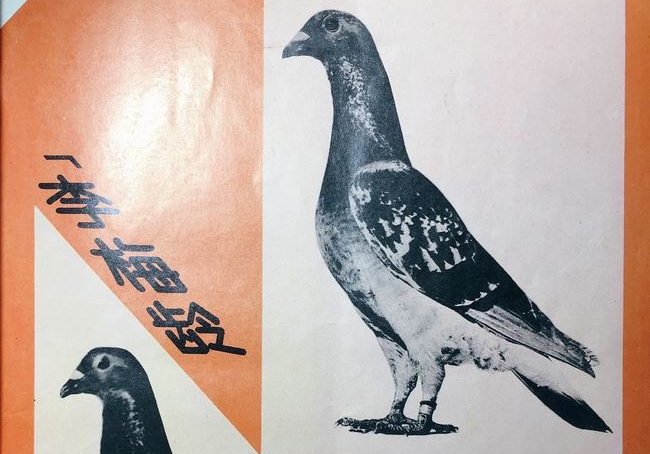 ��ϵ������ӡ�����������ϵġ�����ɫ�� 