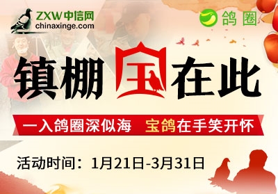 ɹ��������ﱦ һ���Ӯ���֣�