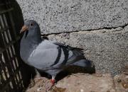 ��н��������� 2022��ս���