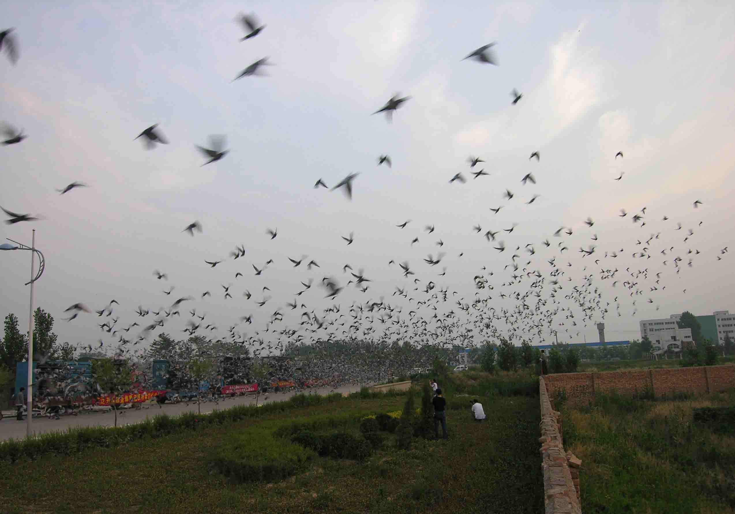 �����뽱Ϊʲô����һ��ͬ�ʣ�