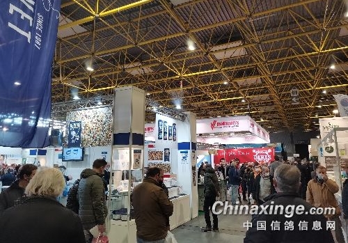 ��Ȧר�� ��ĩ����ȥ����